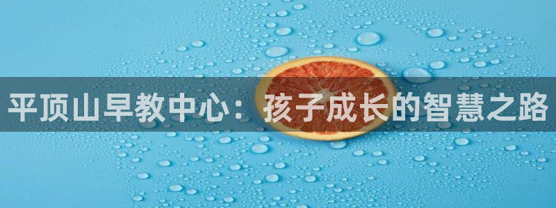 恒行2乃5O6917：平顶山早教中心：孩子成长的智慧之路