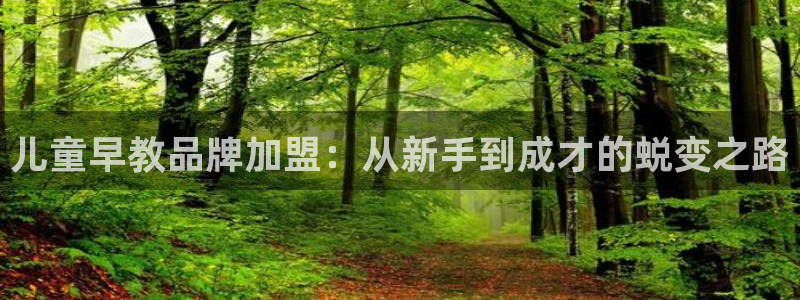 恒行2蒋74OOO5：儿童早教品牌加盟：从新手到成才的蜕变之路
