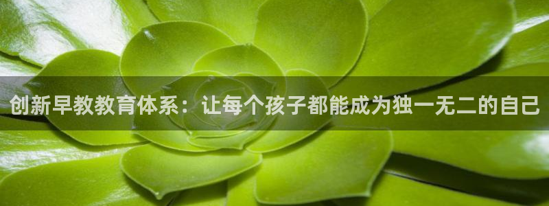 恒行娱乐卫74OOO5：创新早教教育体系：让每个孩子都能成为独一无二的自己