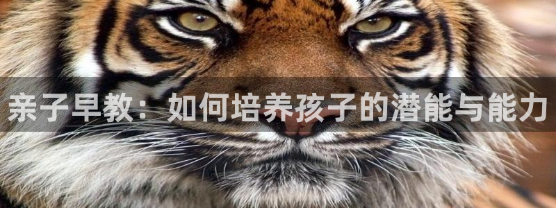 恒行娱乐5ll533主管正直：亲子早教：如何培养孩子的潜能与能力