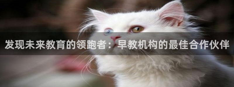恒行主管招收 6ll5l出奇：发现未来教育的领跑者：早教机构的最佳合作伙伴