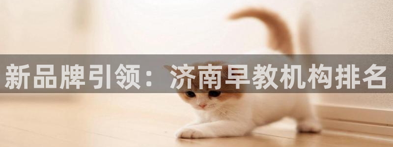 恒行娱乐蜗74ooo5指磁：新品牌引领：济南早教机构排名
