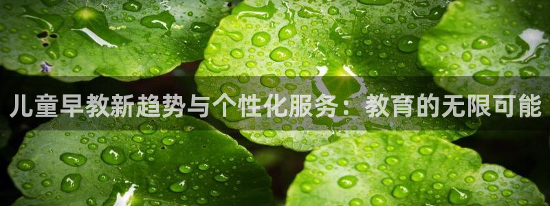 恒行主管总代6ll5l周至：儿童早教新趋势与个性化服务：教育的无限可能