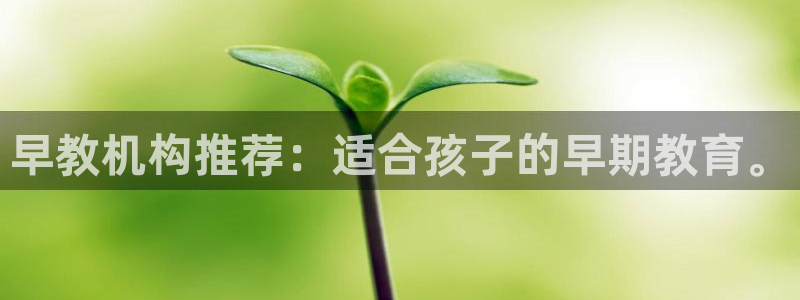 恒行娱乐掌74ooo5呀蚕：早教机构推荐：适合孩子的早期教育。