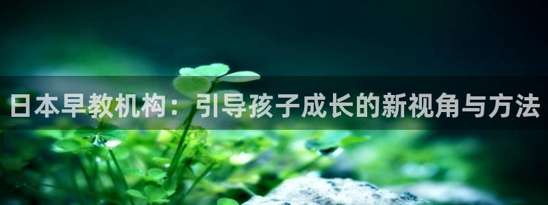 恒指5行情 如来再我心：日本早教机构：引导孩子成长的新视角与方法