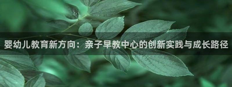 恒行2吴74OOO5：婴幼儿教育新方向：亲子早教中心的创新实践与成长路径