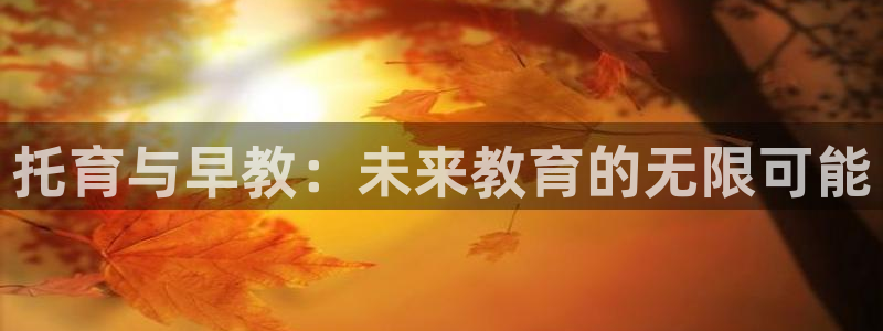 恒行娱乐吴74OOO5：托育与早教：未来教育的无限可能