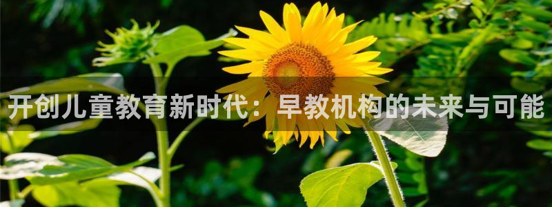 恒在5行中代表什么数字：开创儿童教育新时代：早教机构的未来与可能