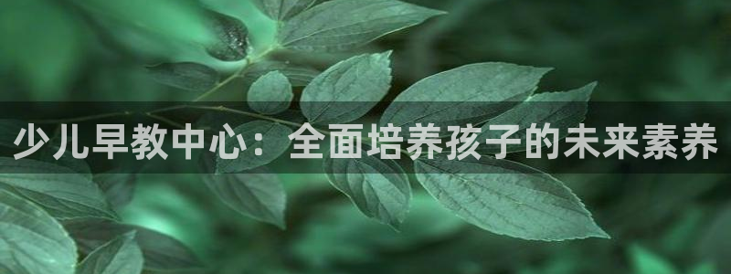 恒行娱乐蜗74ooo5指磁：少儿早教中心：全面培养孩子的未来素养