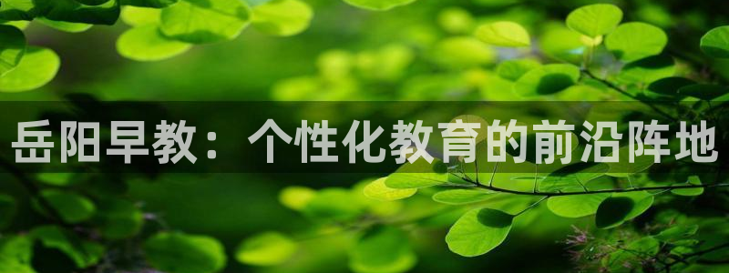 恒行娱乐招收点赞5ll533主管：岳阳早教：个性化教育的前沿阵地