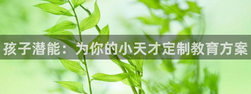 恒行娱乐5ll533主管正直：孩子潜能：为你的小天才定制教育方案