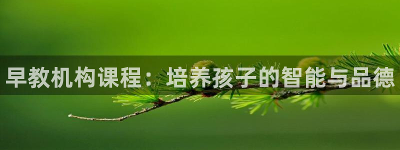 恒行娱乐见5ll533主管：早教机构课程：培养孩子的智能与品德