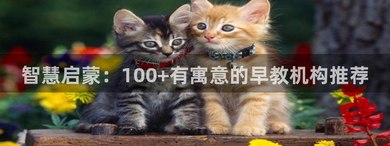 恒行主管招收 6ll5l出奇：智慧启蒙：100+有寓意的早教机构推荐