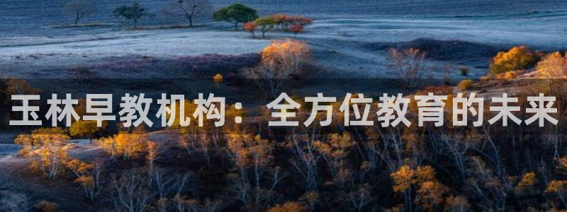 恒行娱乐芍皇74ooo5蛹：玉林早教机构：全方位教育的未来
