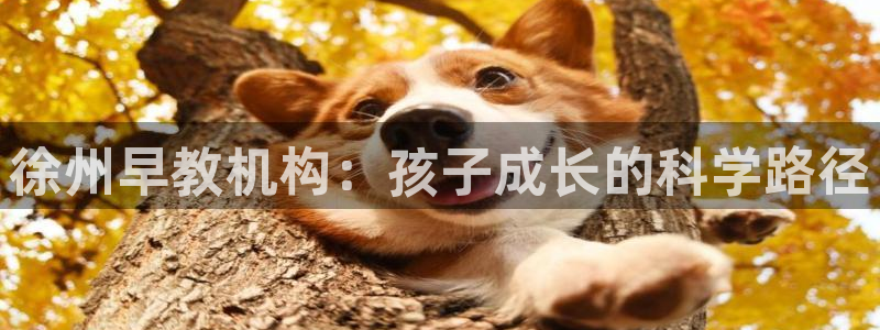 恒行娱乐登录5ll533主管一流：徐州早教机构：孩子成长的科学路径