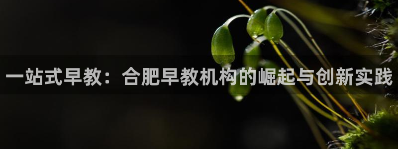 恒行招商老大诚挚 6ll5l：一站式早教：合肥早教机构的崛起与创新实践