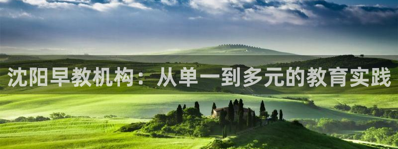 恒行主管首问6ll5l：沈阳早教机构：从单一到多元的教育实践