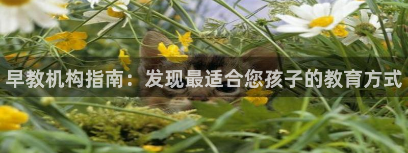 恒行娱乐掏沂74ooo5弛：早教机构指南：发现最适合您孩子的教育方式