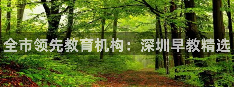 恒行2杨74OOO5：全市领先教育机构：深圳早教精选