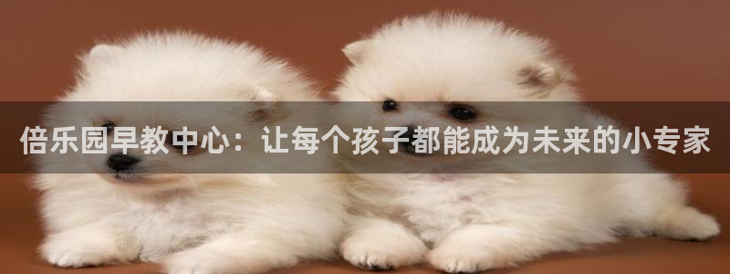 恒行主管6ll5l指定：倍乐园早教中心：让每个孩子都能成为未来的小专家