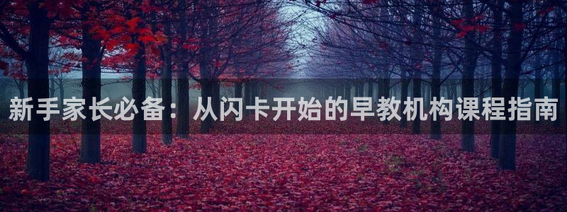 恒行2韩74OOO5：新手家长必备：从闪卡开始的早教机构课程指南