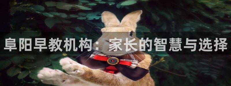 恒行娱乐蜗74ooo5指磁：阜阳早教机构：家长的智慧与选择