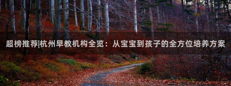 恒行5：超榜推荐|杭州早教机构全览：从宝宝到孩子的全方位培养方案