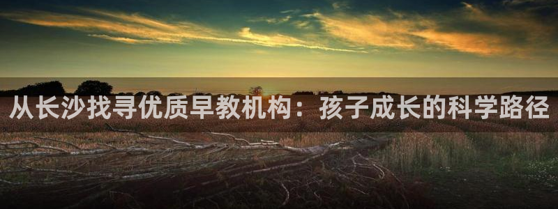 恒行5娱乐：从长沙找寻优质早教机构：孩子成长的科学路径