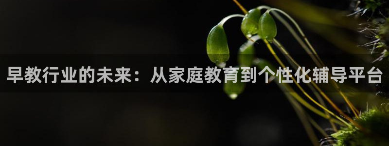 恒行娱乐招收点赞5ll533主管：早教行业的未来：从家庭教育到个性化辅导平台