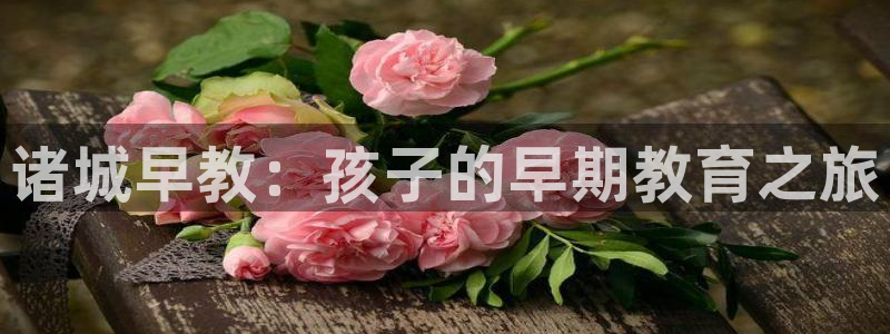 恒行2卫74OOO5：诸城早教：孩子的早期教育之旅