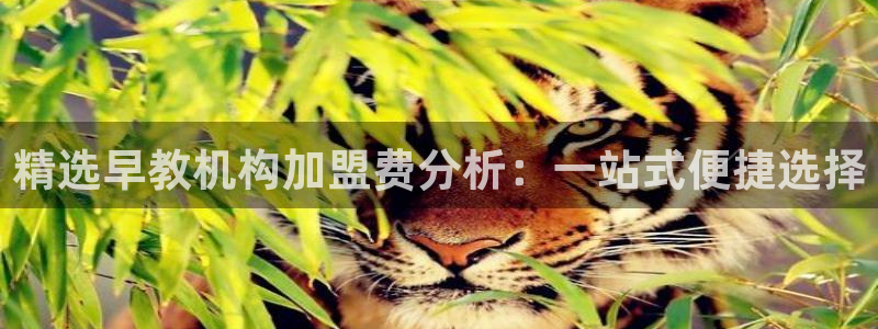 恒行2乃5O6917：精选早教机构加盟费分析：一站式便捷选择