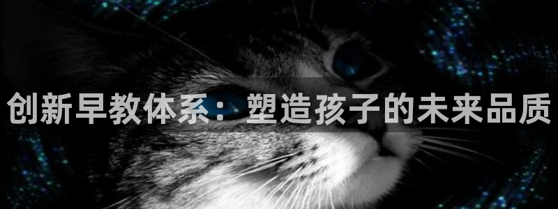 恒行开户全2O5o5O：创新早教体系：塑造孩子的未来品质