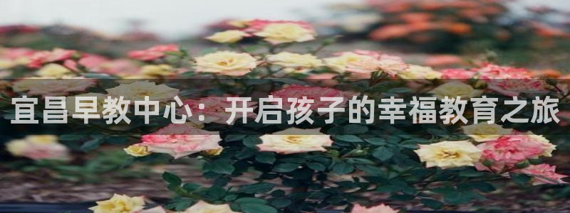 恒行2蒋74OOO5：宜昌早教中心：开启孩子的幸福教育之旅