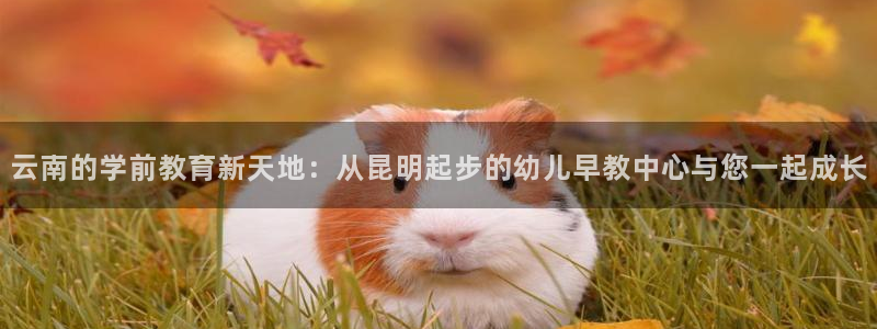 恒行2吕74OOO5：云南的学前教育新天地：从昆明起步的幼儿早教中心与您一起成长