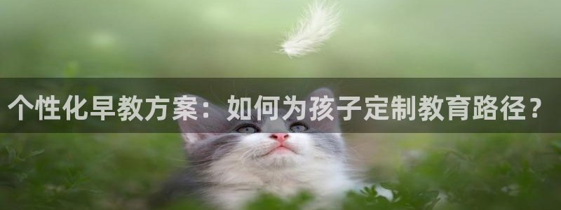 恒行2冯74OOO5：个性化早教方案：如何为孩子定制教育路径？