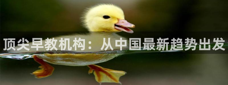 恒行2冯74OOO5：顶尖早教机构：从中国最新趋势出发