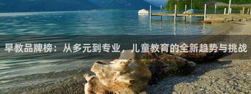 恒行娱乐陈74OOO5：早教品牌榜：从多元到专业，儿童教育的全新趋势与挑战