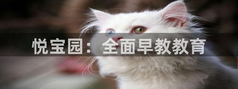 恒行代理总代主导 6ll5l:悦宝园:全面早教教育