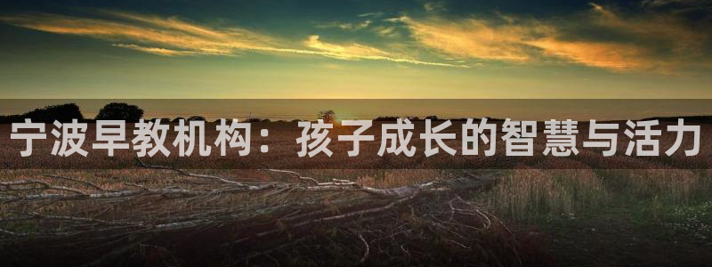 恒行2那74OO5：宁波早教机构：孩子成长的智慧与活力