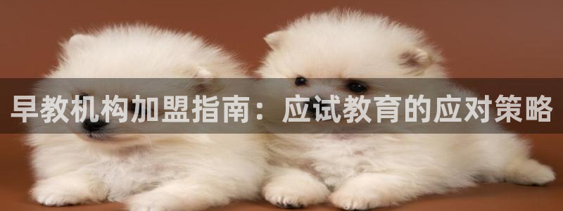 恒行主管6ll5l指定:早教机构加盟指南:应试教育的应对策略