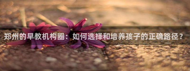 恒行开户娱乐赞议6ll5l:郑州的早教机构圈:如何选择和培养孩子的正确路径?