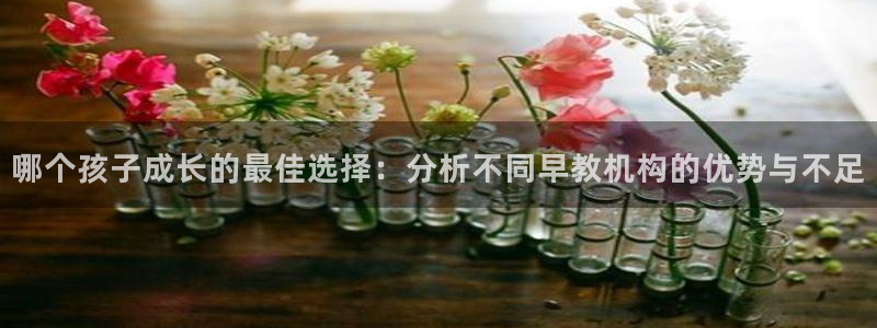 恒行娱乐卫74OOO5:哪个孩子成长的最佳选择:分析不同早教机构的优势与不足