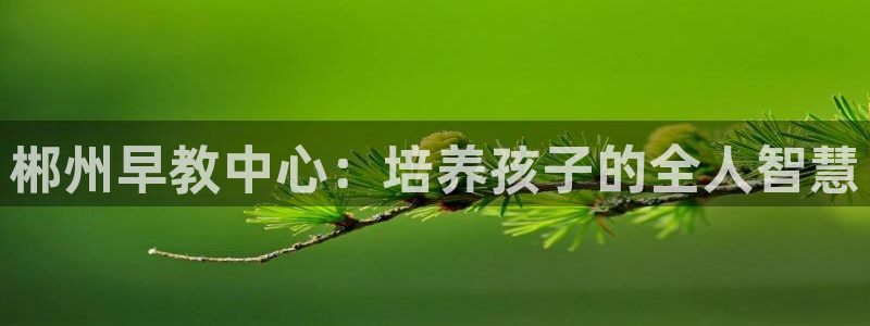 恒行娱乐吴74OOO5：郴州早教中心：培养孩子的全人智慧