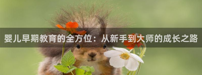 恒行娱乐毓婆74ooo5仪:婴儿早期教育的全方位:从新手到大师的成长之路