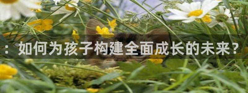 恒行2褚74OOO5::如何为孩子构建全面成长的未来?