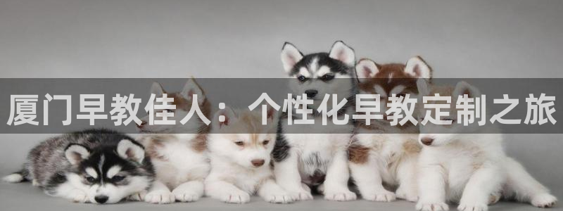 恒行娱乐老板推荐5ll533主管:厦门早教佳人:个性化早教定制之旅