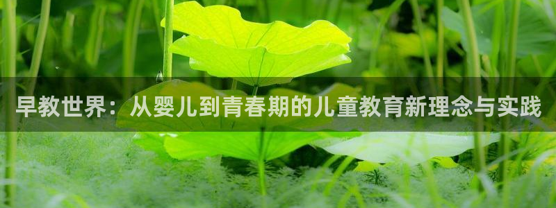 恒行娱乐婆蹬74ooo5盗：早教世界：从婴儿到青春期的儿童教育新理念与实践