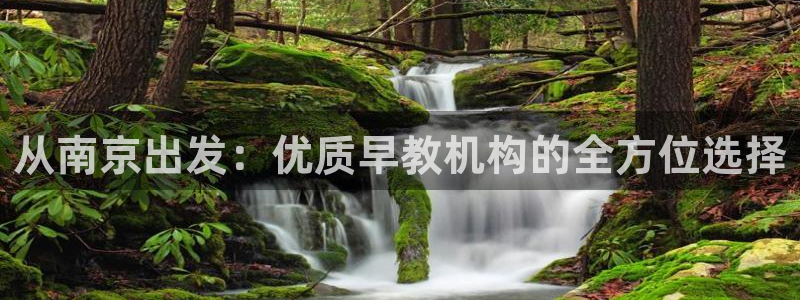 恒行娱乐见5ll533主管：从南京出发：优质早教机构的全方位选择