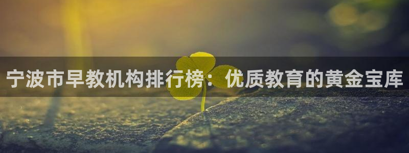 恒行主管总代6ll5l周至：宁波市早教机构排行榜：优质教育的黄金宝库