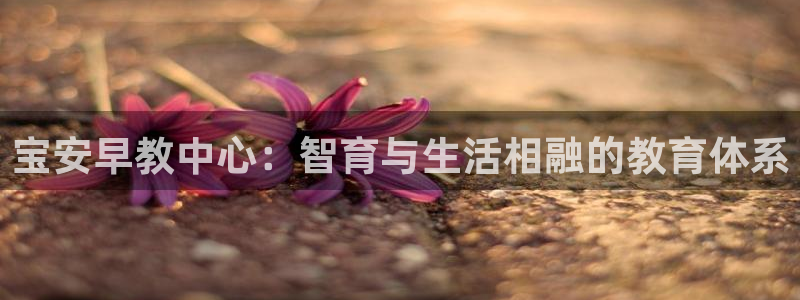 恒行注册全2O5O5O：宝安早教中心：智育与生活相融的教育体系